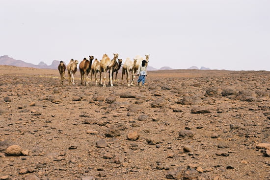 صور من الصحراء الجزائرية * غرداية * تمنراست ...* Autres-deserts-tamanrasset-algerie-9725152851-933527