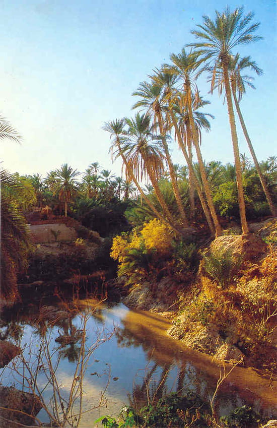 اضغط على الصورة لرؤيتها بالحجم الطبيعي اضغط على الصورة لرؤيتها بالحجم الطبيعي