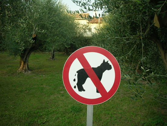 Salope... Autres-insolite-france-1051231216-1163991
