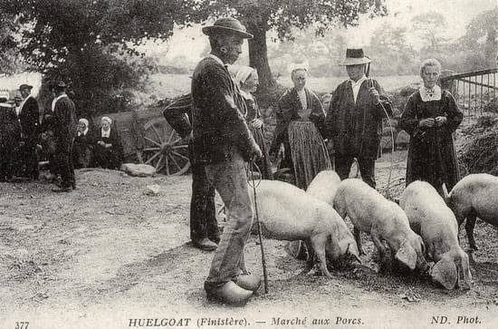 Marché aux porcs Marché aux porcs