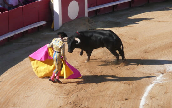 http://image-photos.linternaute.com/image_photo/550/corridas-beziers-france-1263319851-1099175.jpg