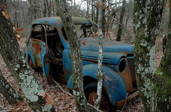Appel à la nostalgie des épaves automobiles Epaves-citadines-forets-temperees-france-1397821308-963696