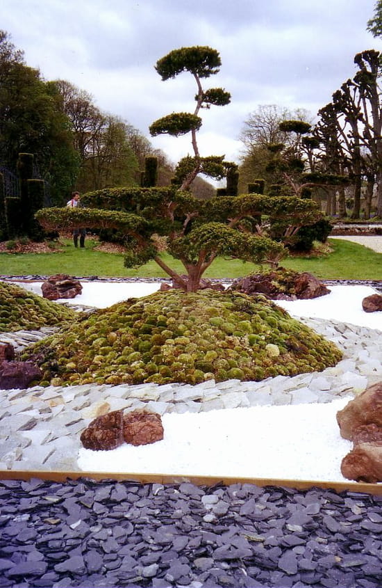 Album photo - Jardin paysagiste Jardin Paysagiste