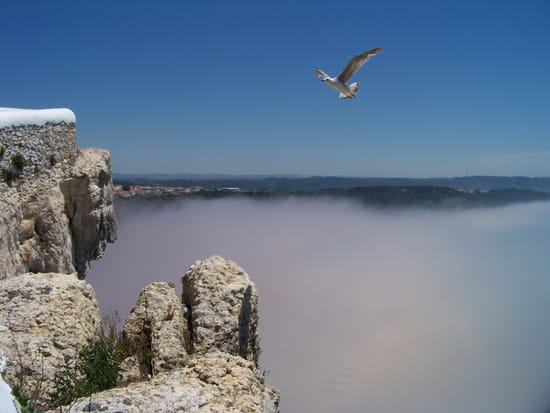 Sous le brouillard - Les hauteurs de Nazaré