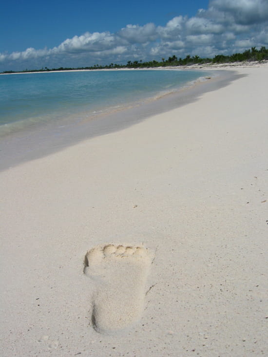 Le bonheur - Le bonheur est sur la plage