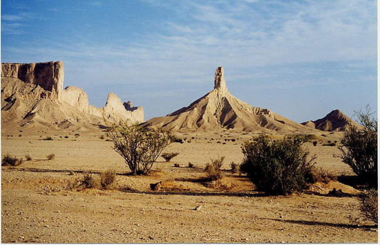 savane-rochers-roche-riyadh-arabie-saoudite-4308435321-268507.jpg