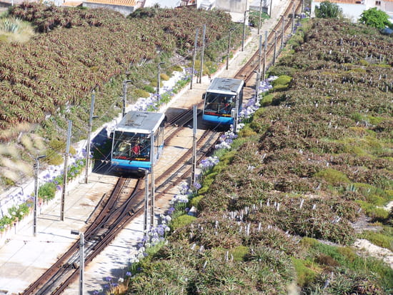 Ascenseurs de Nazaré - Pour relier le bas et le haut de Nazaré, il vaut mieux emprunter les ascenseurs...