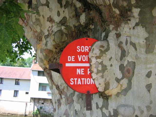 1/2 stationnement autorise