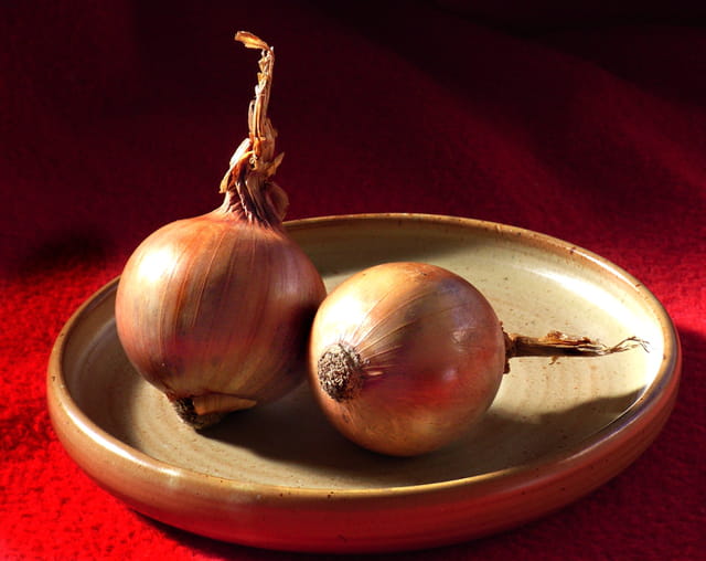 Oignons de Provence
