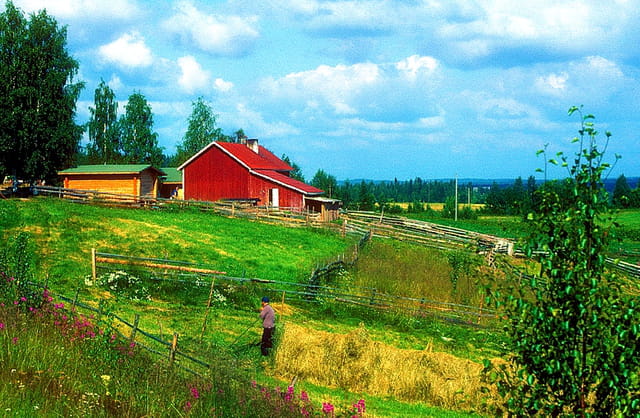 Finlande paysage rural par Alice AUBERT sur L Internaute