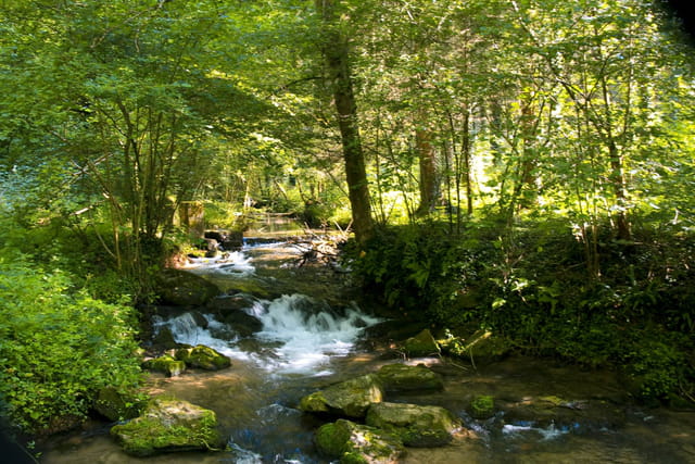 Cascade Auto Finance >> Cascade en sous-bois par Etienne DOGOT sur L'Internaute Cascade Auto Finance >> Cascade en sous-bois par Etienne DOGOT sur L'Internaute