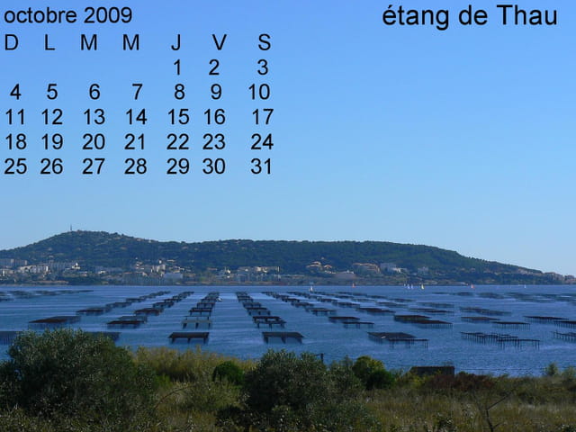 TÉLÉCHARGER CALENDRIER PIRELLI 2009 GRATUITEMENT PIRELLI GRATUITEMENT CALENDRIER TÉLÉCHARGER 2009