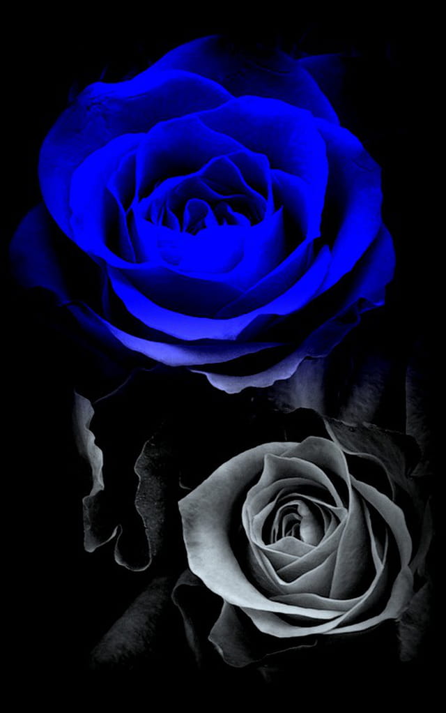 Petit délire............florale
