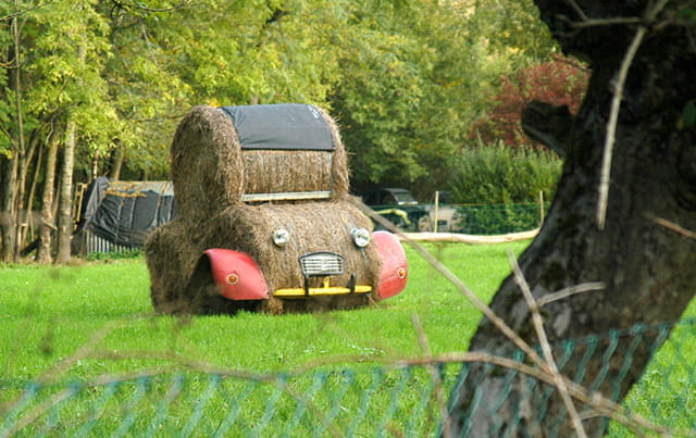 2 cv empaillée