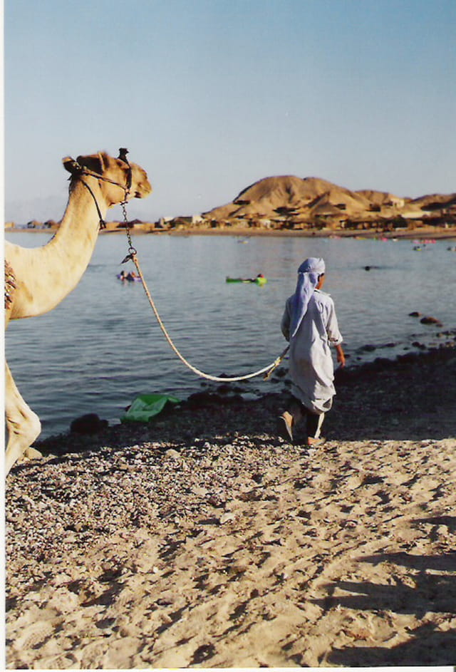 Photos d'Egypte 352580