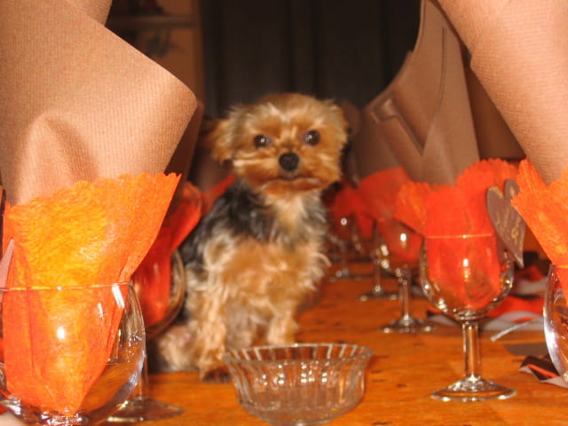 À table
