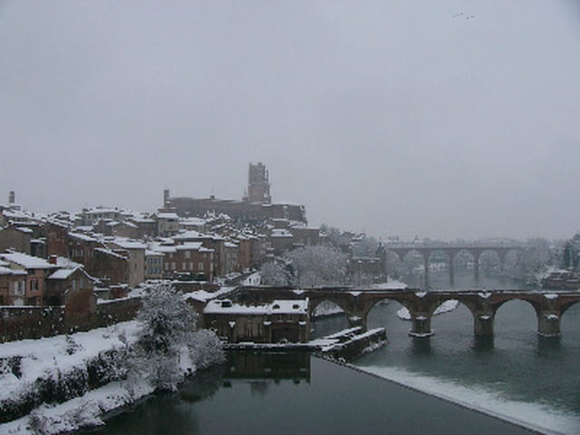 Albi sous la neige