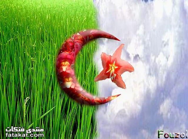 Algérie mon Amour