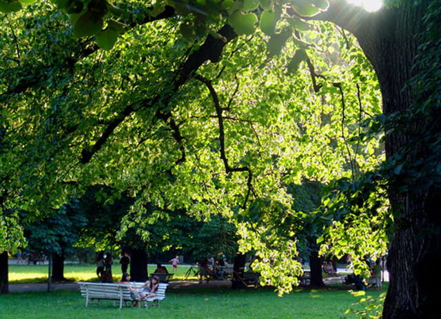 Apres-midi dans le parc