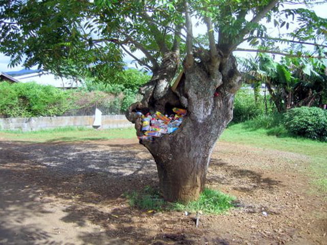 Arbre poubelle