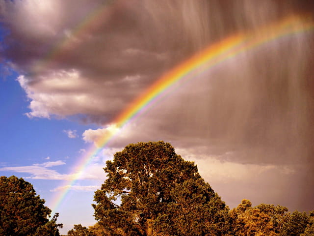 Arc en ciel