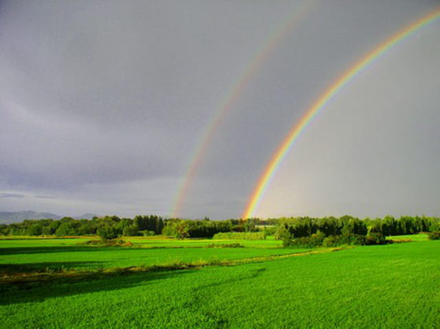 Arc en ciel