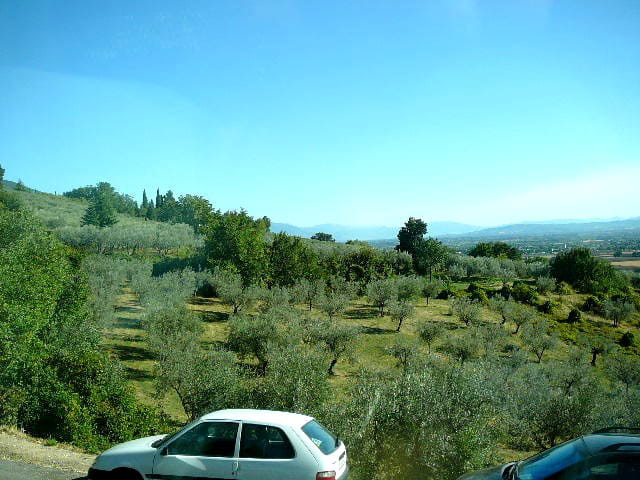 Assise