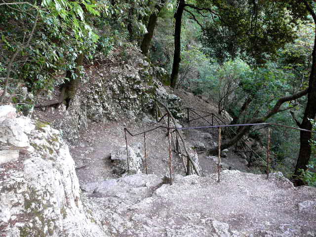 Assise
