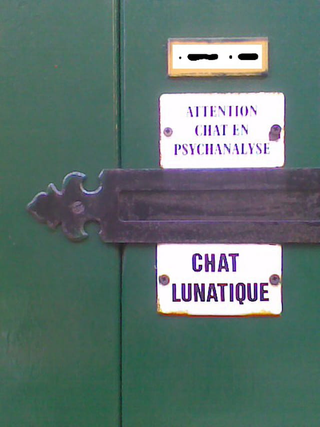 Attention au chat