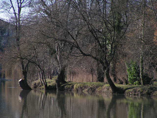Au fil de l'eau