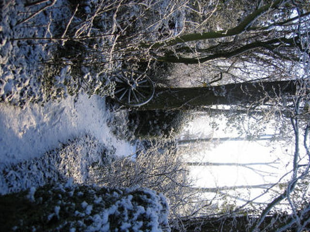 Aube d'hiver