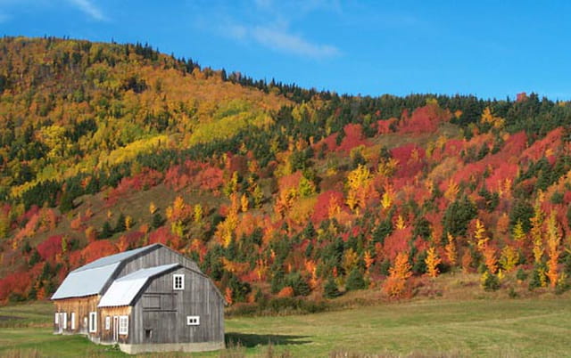 Automne