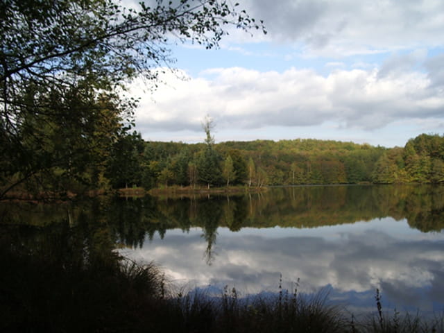 Automne