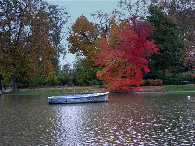 Automne 4