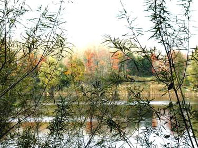 Automne