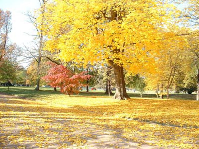 Automne