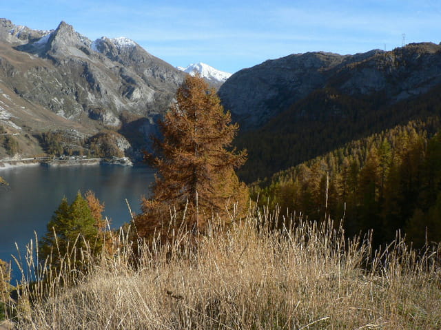 Automne