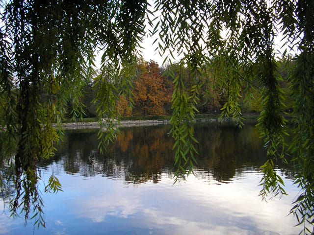 Automne à Ville d'Avray