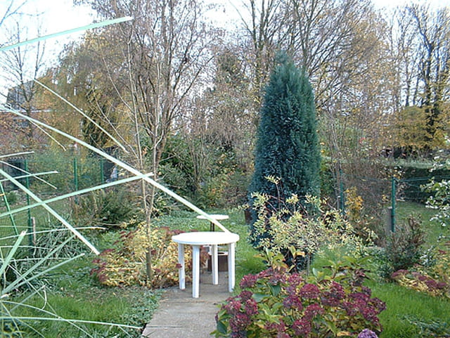 Automne au jardin