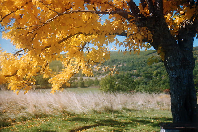 Automne en Haute Provence