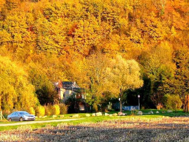 Automne flamboyant