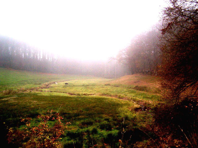 Automne normand