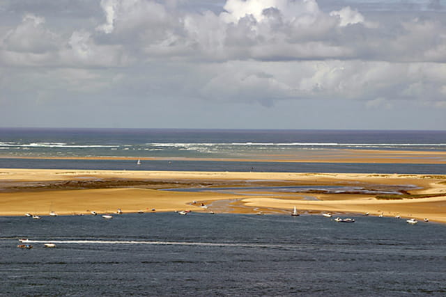 Banc d'Arguin