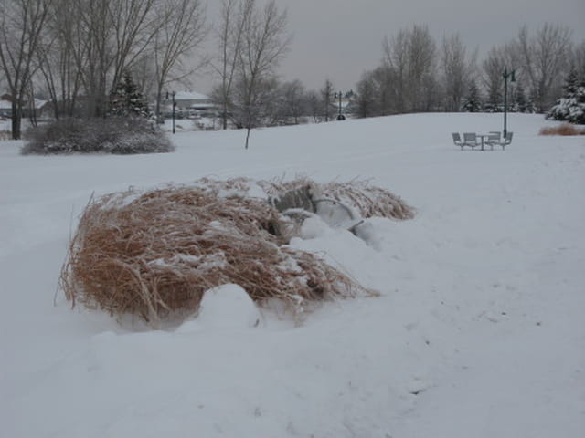 Banc de neige