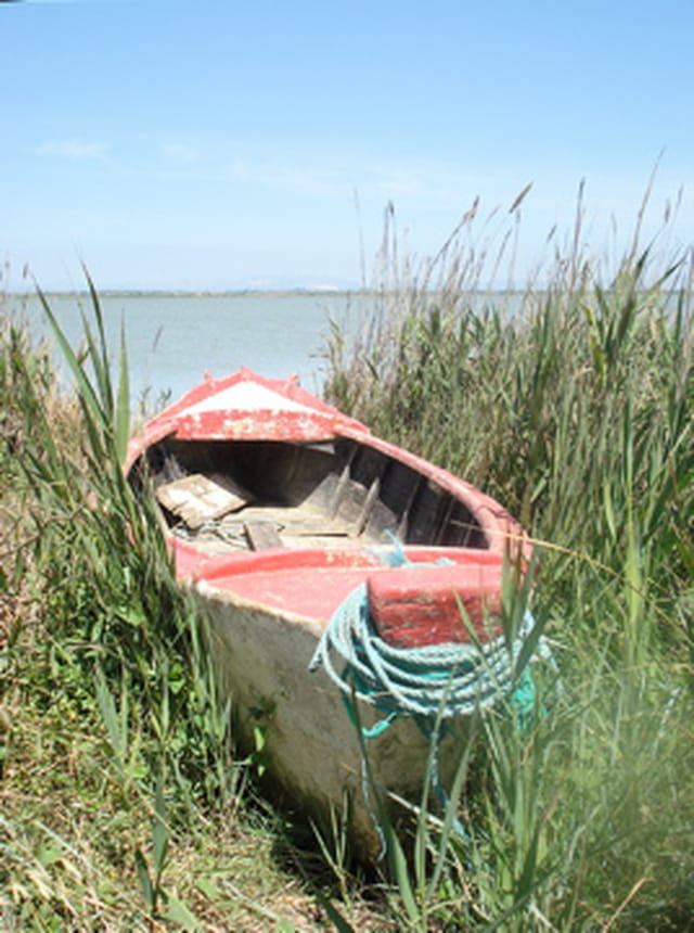 Barque à la retraite