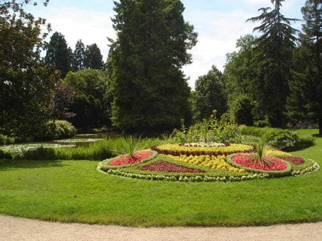 Beau Massif de Fleurs
