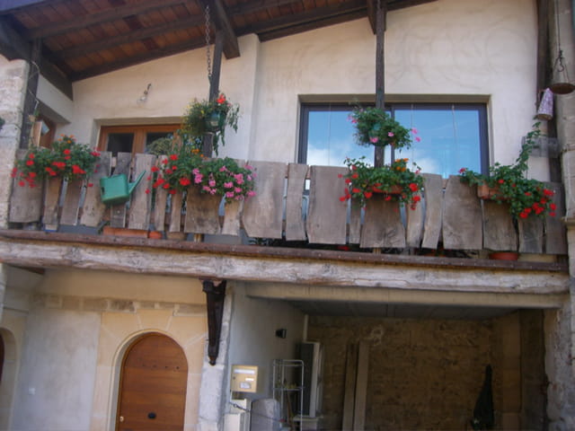 Belles fleurs