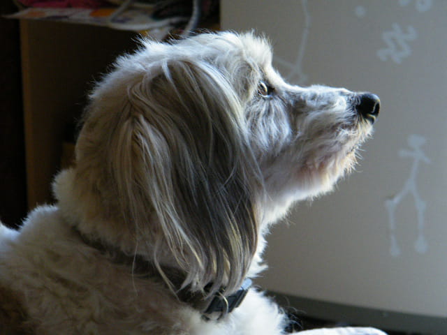 Ben en pleine reflexion