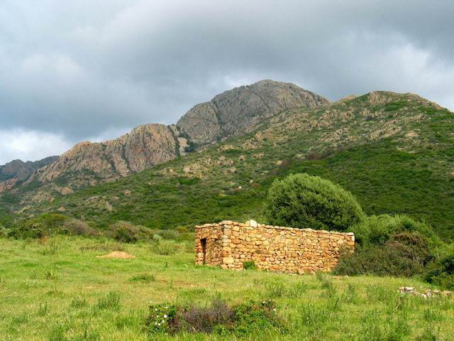 Bergerie corse
