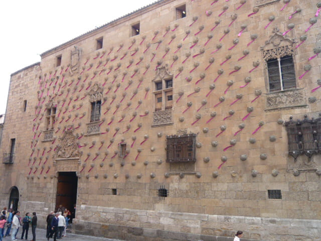 Bibliothèque de Salamanque